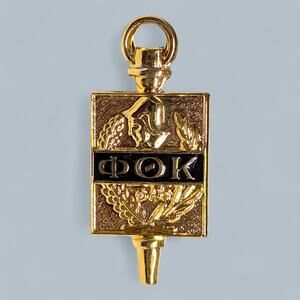 Phi Theta Kappa Honor Society Gold Tone Hat Lapel Pin